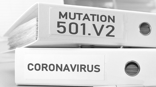 Coronavirus : le variant sud-africain peut-il rendre le vaccin inefficace ?