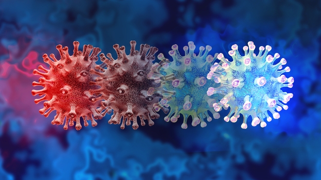 De nouveaux variants du coronavirus ont été identifiés dans plusieurs régions du continent (photo d'illustration)