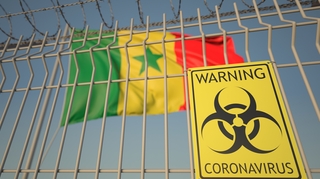 Coronavirus au Sénégal : Une "immunité croisée" aurait vu le jour
