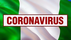 Au Nigéria, 26 généraux positifs au Covid-19 après une conférence de l'armée