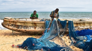 Les pêcheurs sénégalais reprennent le travail malgré leur maladie mystère