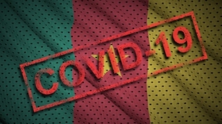 Covid : le Cameroun se tourne vers la pharmacopée traditionnelle