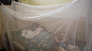 Maladie du sommeil : sur la voie de l'éradication