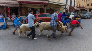 Aïd Al Adha et Coronavirus : le Maroc lance un guide des mesures préventives