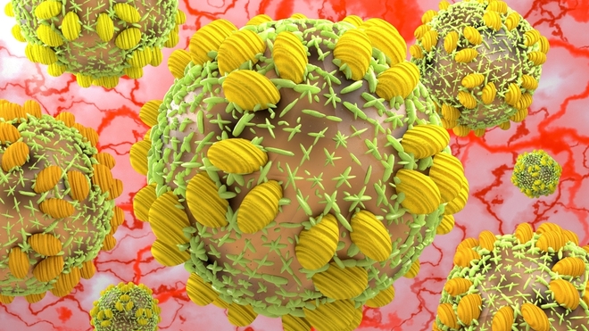 Le virus responsable de l'hépatite C (photo d'illustration)