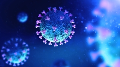 Coronavirus : le Maroc enregistre son pire bilan journalier